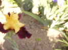 P1250869