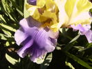 P1250874