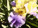P1250875