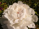 P1250881