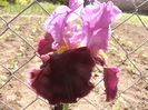 P1250894