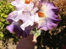 P1250896