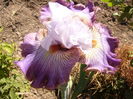 P1250898