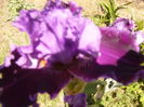 P1260016