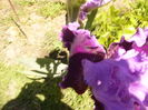 P1260018