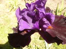 P1260023