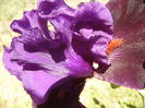 P1260025