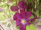 P1260037
