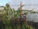 IMG_20160508_185810