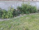 IMG_20160508_185800