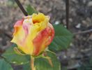 IMG_20160508_185724