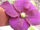 P1260034
