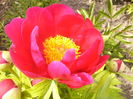 P1260044