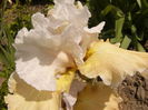 P1260054