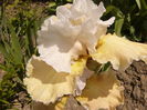 P1260055