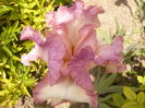 P1260073