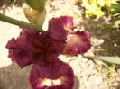 P1260077
