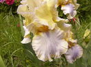P1260095