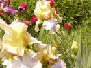 P1260097