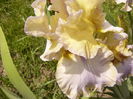 P1260098