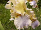 P1260101