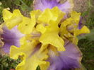 P1260107