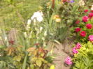 P1260120