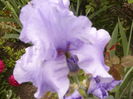P1260150