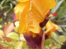 P1260230