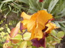 P1260231