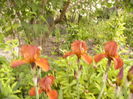 P1260236