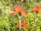 P1260237