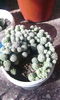IMG_20160508_170024[1]