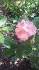 20160507_110510