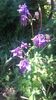 20160507_110544