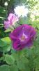 20160507_110629