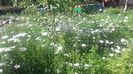 20160507_110650