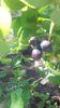 20160507_110832