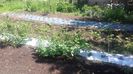20160507_111031