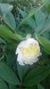 20160507_111237