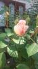 20160507_111324