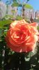 20160507_111504
