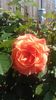 20160507_111513