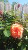 20160507_111518
