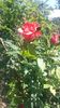 20160507_111642