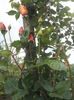 20000101_052556