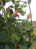 20000101_052606