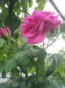 20000101_053147