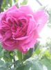 20000101_053205
