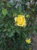 20000101_053249